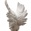 Sedintis angelas 3
